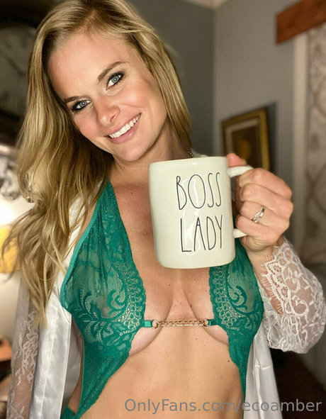 ecoamber best model image