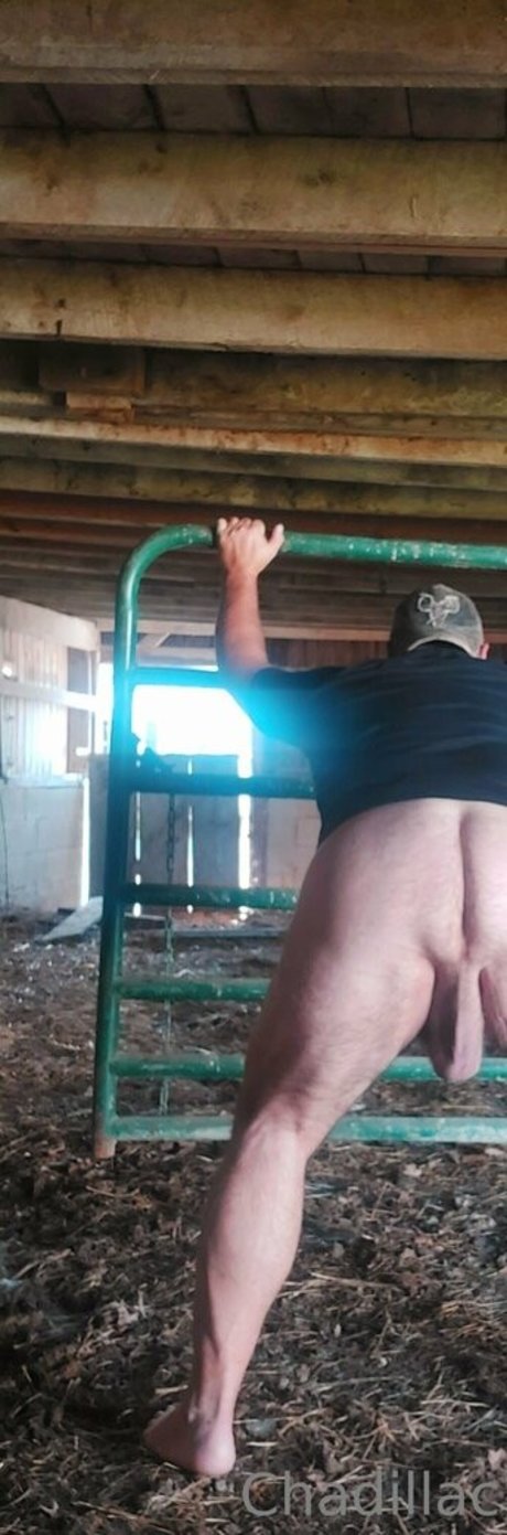 chadillac42 pornstar erotic pictures