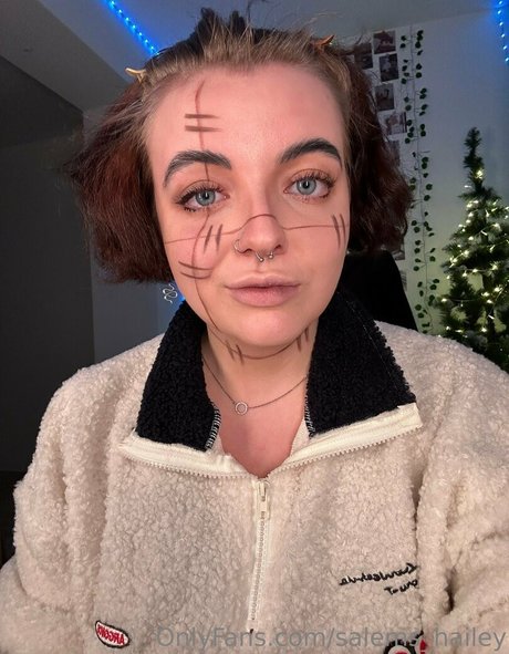 salems hailey hd model archive