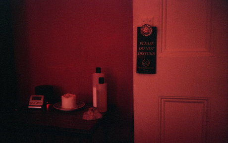 zendenjen69 pornstar art photo