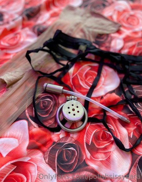 polishsissysara pornstar art pictures