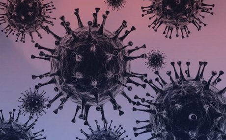 Dianaholiday model top image