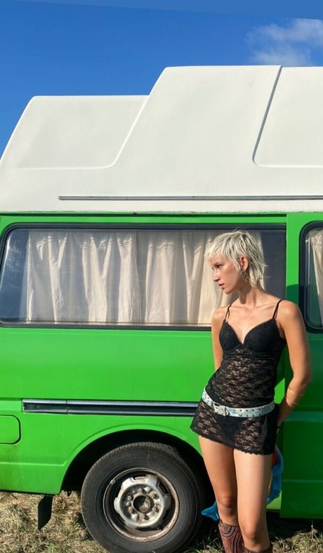 Anni Baumann star art pics