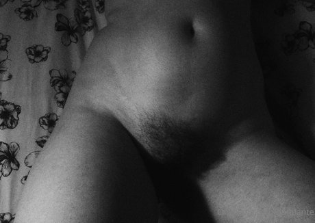 aatalante art star photos