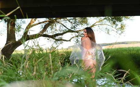 ksy lioness best pornstar photos