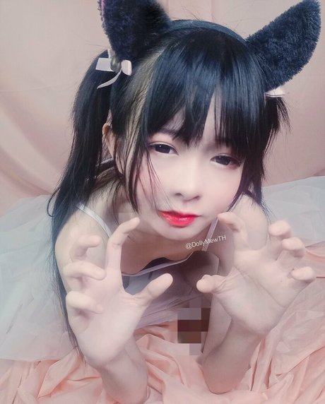 DollyMewTH Profile pic