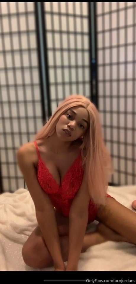 tornjordans model pornographic picture