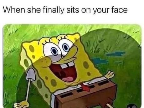 Kaitie free star images