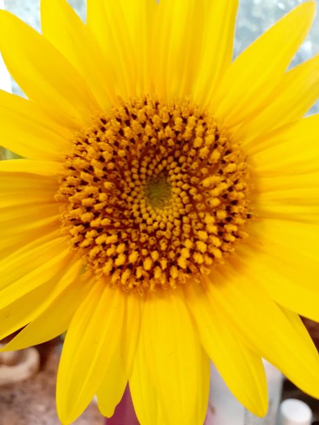 BarefootSpirit model art photo