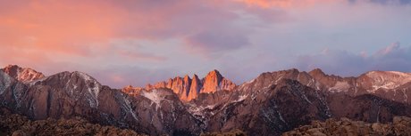 trans free onlyfans free xxx images