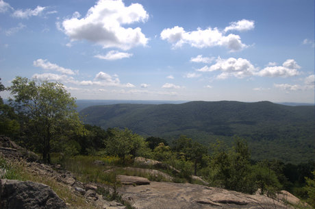 M Hendrickson Photo nice actress pic