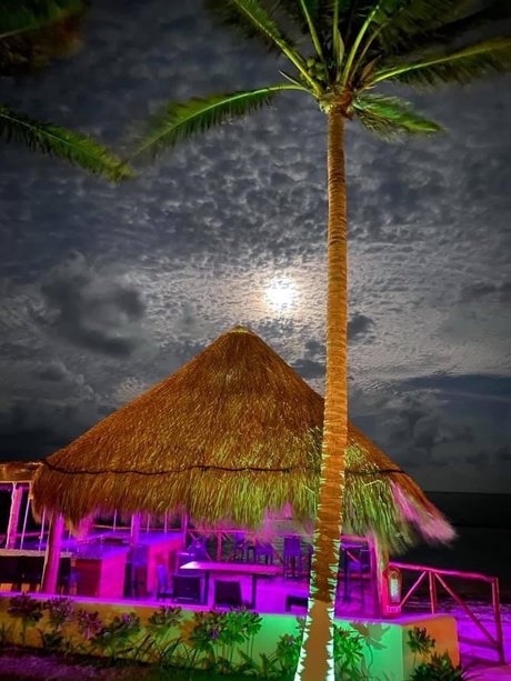 Mex4BBC pornstar nude photos