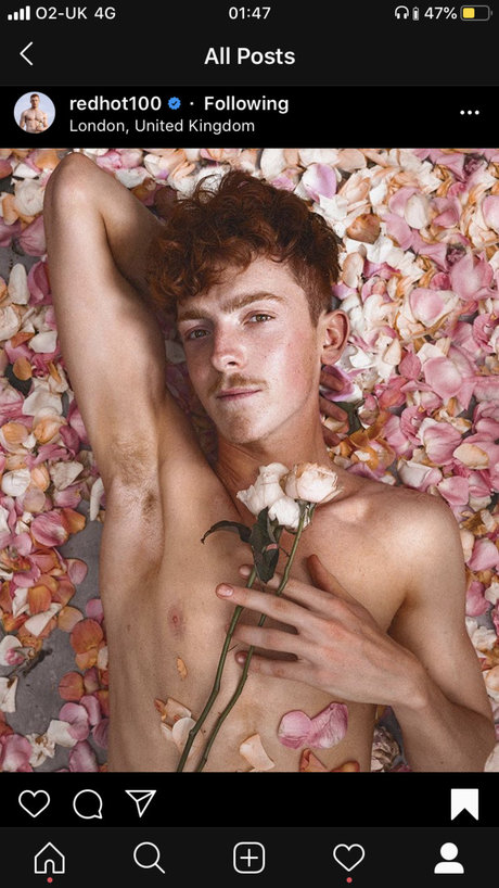 Ben Berkhout star high quality galleries