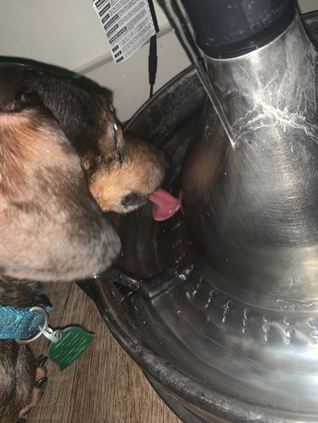 _cumm best actress pic