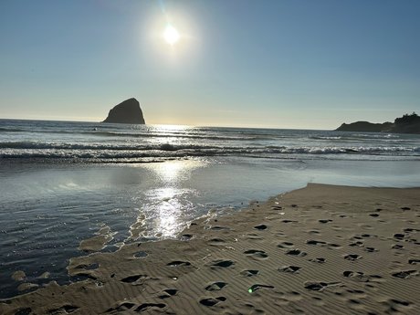 MikeHoncho art star images