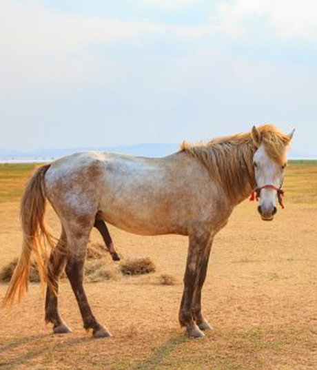 BigDickDaddy901 pornstar exclusive galleries