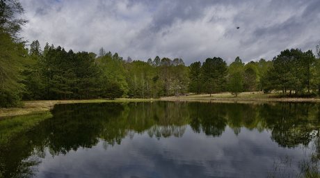 BigJoeLuvin23 top star image