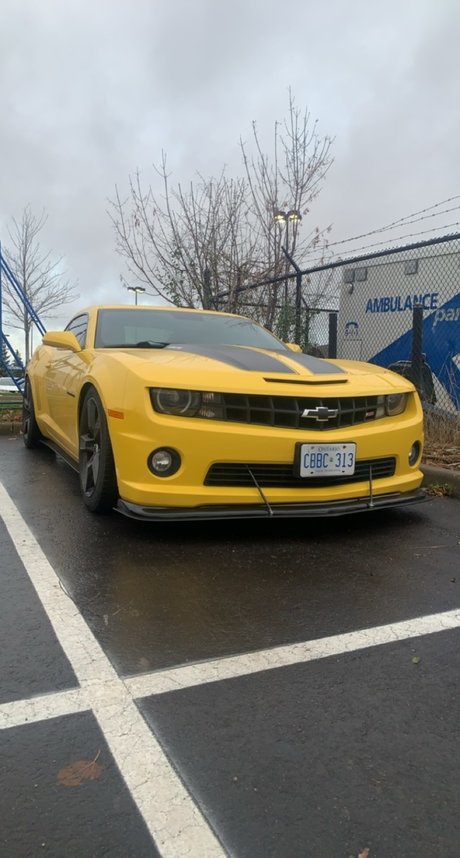 Cassian Gunawardana erotic star gallery