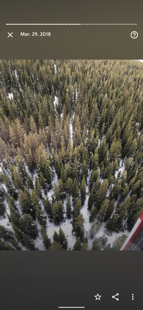 Michelle Lynn model nude gallery