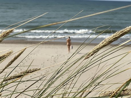 Milla Gee pornstar erotic photo