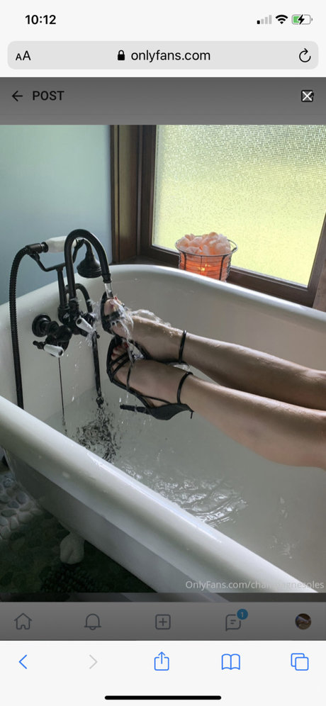 Champagnesoles high quality pornstar photo