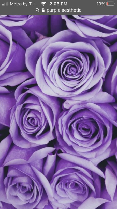 Miley World erotic pornstar image