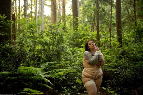 Missdebbiedarling hd star img