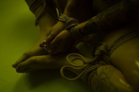 Dex model hd galleries