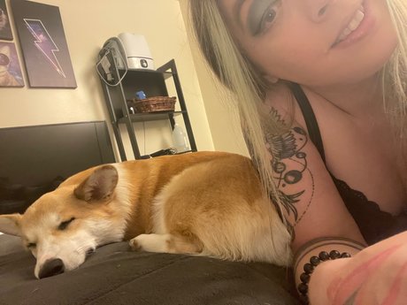 Sara Michelle_ pornstar xxx img