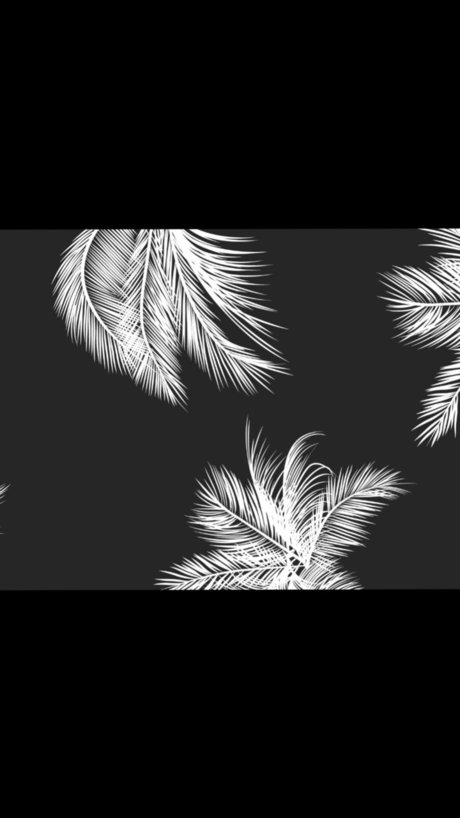 Mishamilu nudes star pic