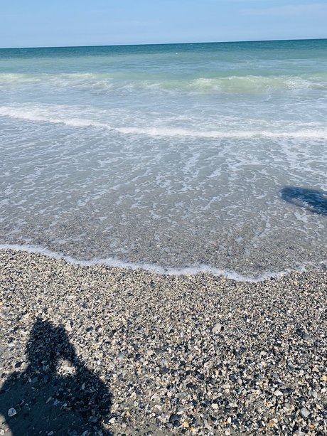 Phat Ass White Girl hd pornstar images