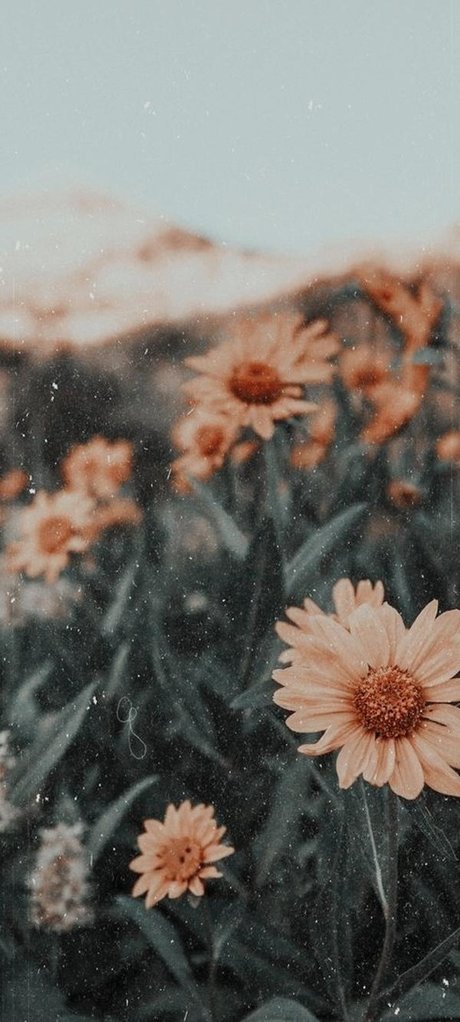 _Nicole art star archive