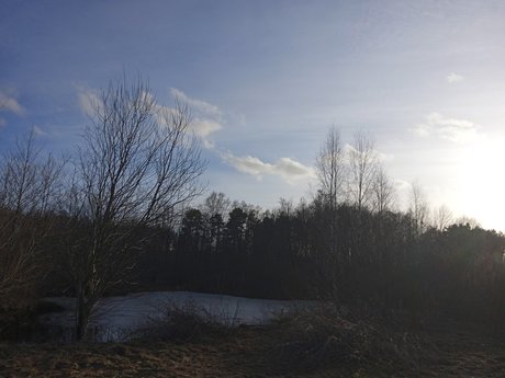 Milisixx hd pornstar archive