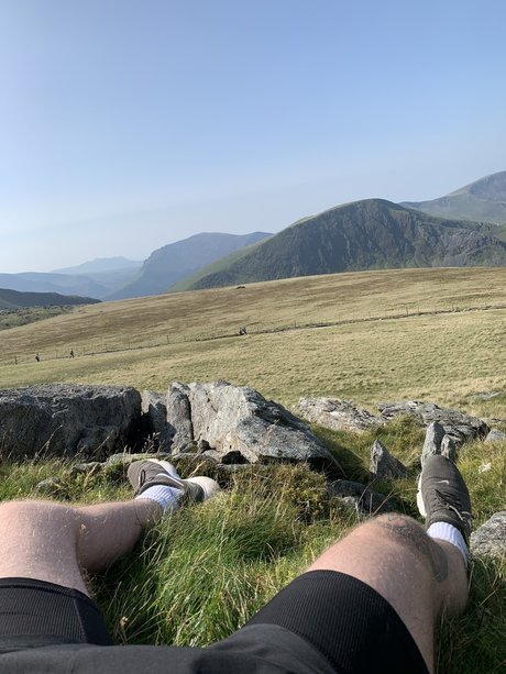 Ceiling fan star beautiful galleries