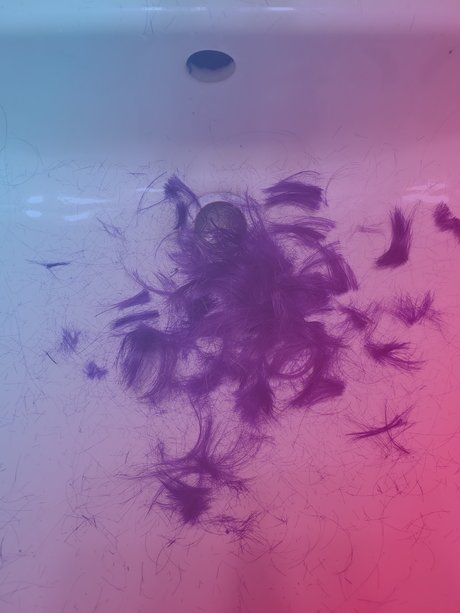 _himbo pussy_ sexy star pics