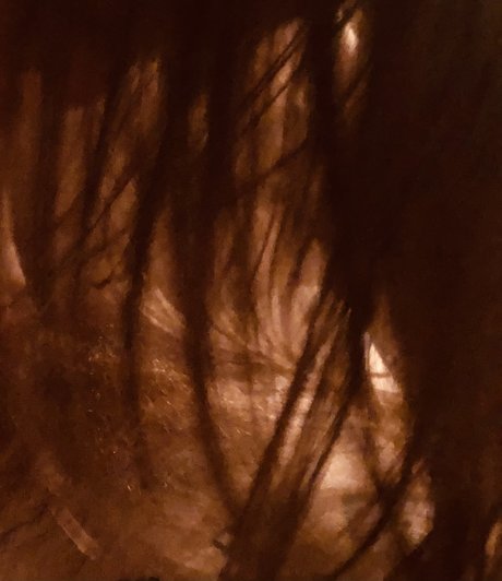 HiddenBrooke_ hot star pictures