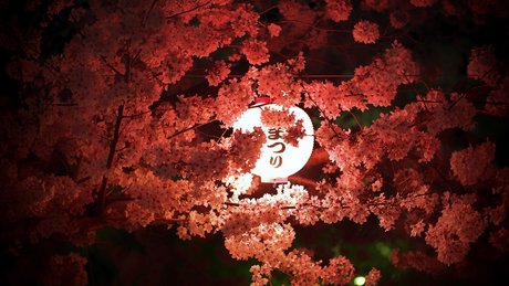 Jgleeems high quality actress pic