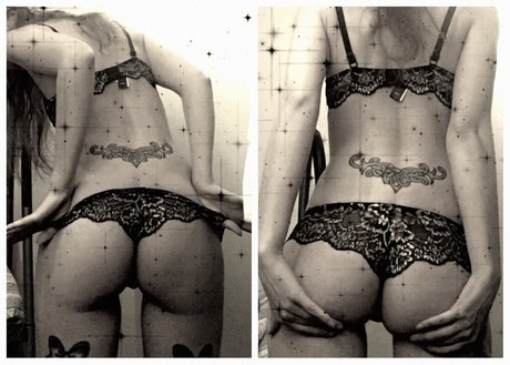 Hilton free star pictures