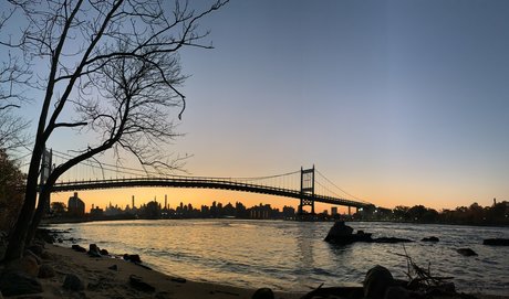 mister felix model gallery