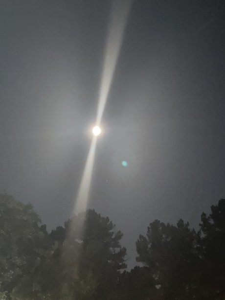 Ign2017 erotic pornstar image