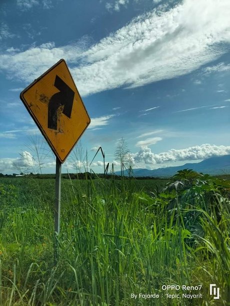 Java face pornstar nude img