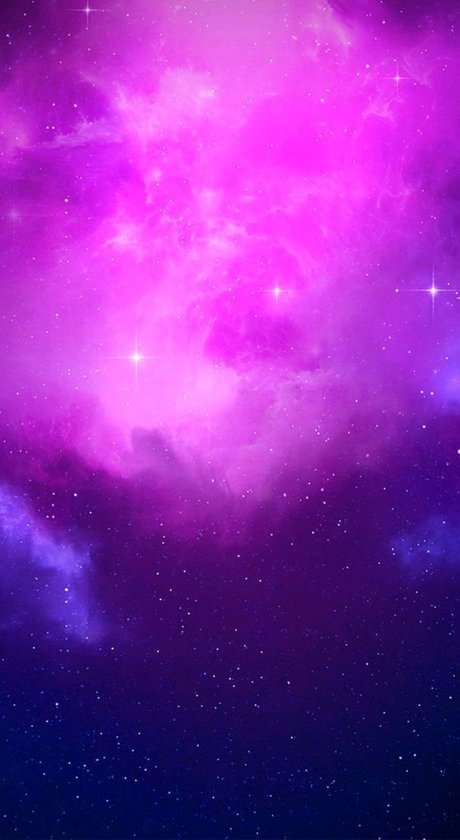 _Cachorro Putito_ star beautiful photo