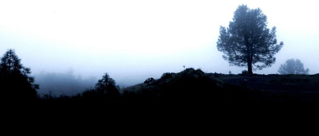 Jayjayjayx xxx model photos