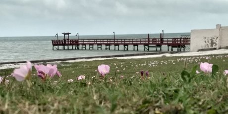 Mistwolfs model porn photos