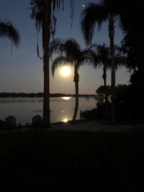 Kushqueen420 star nude galleries