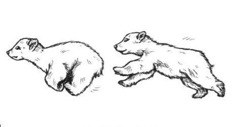 Morbo_ exclusive actress image