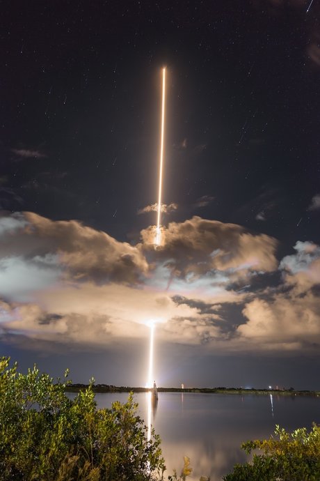 Mauri model free pictures