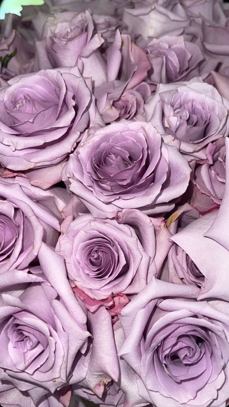 Momdashian art model pic