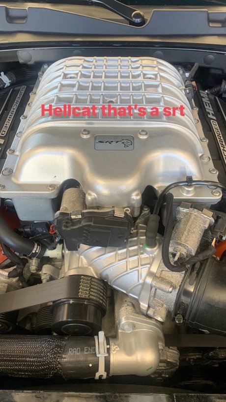 Your desires high quality model pics