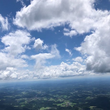 Helen Mills star pretty images